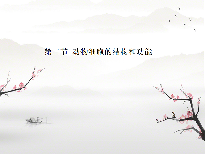 17758079第1页