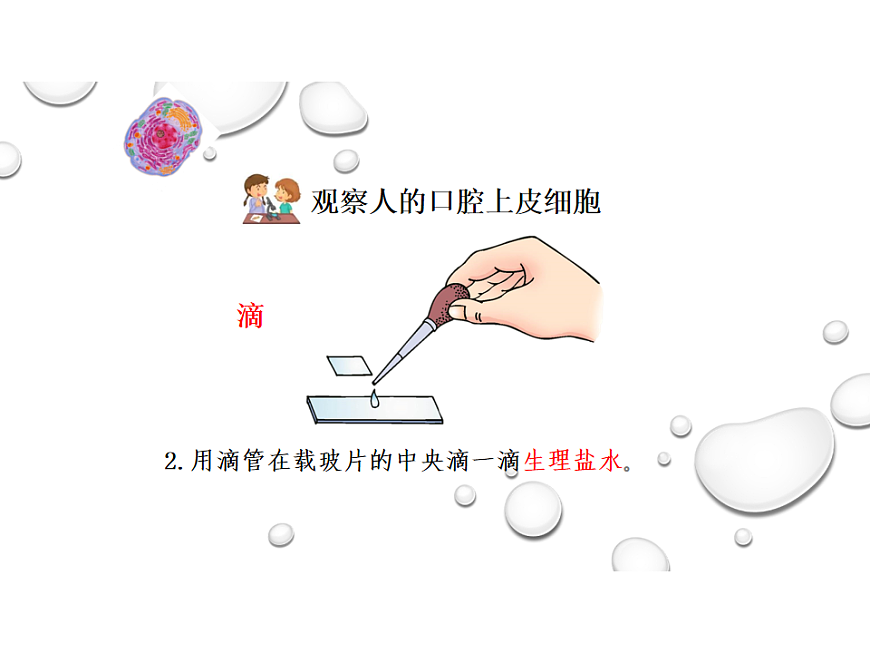 17758079第5页