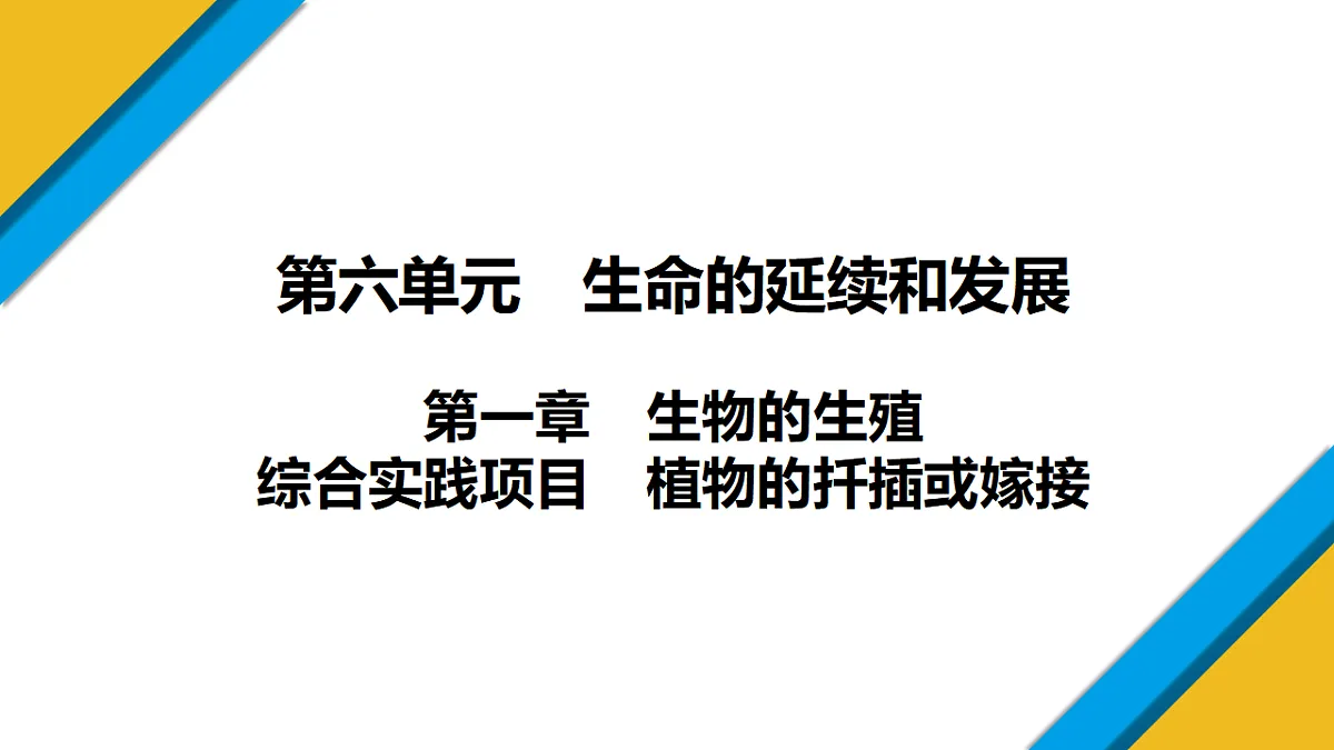 17759743第1页