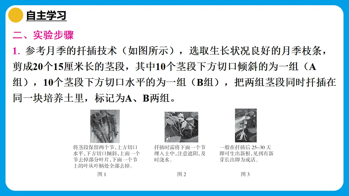17759743第4页