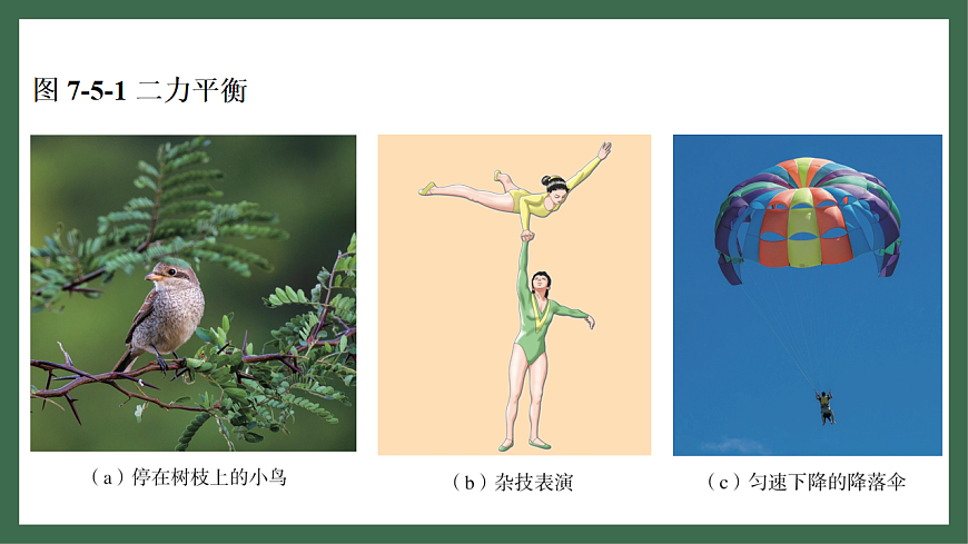 17760032第5页