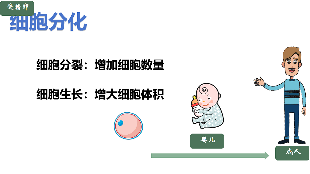 17760369第3页