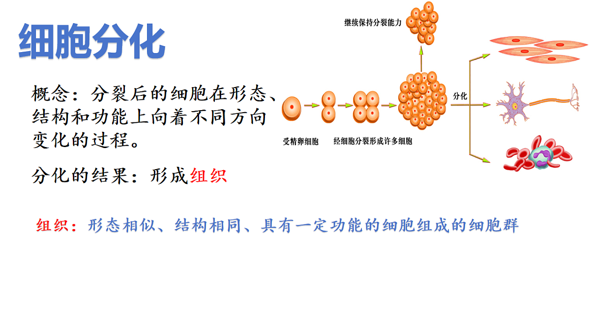 17760369第4页
