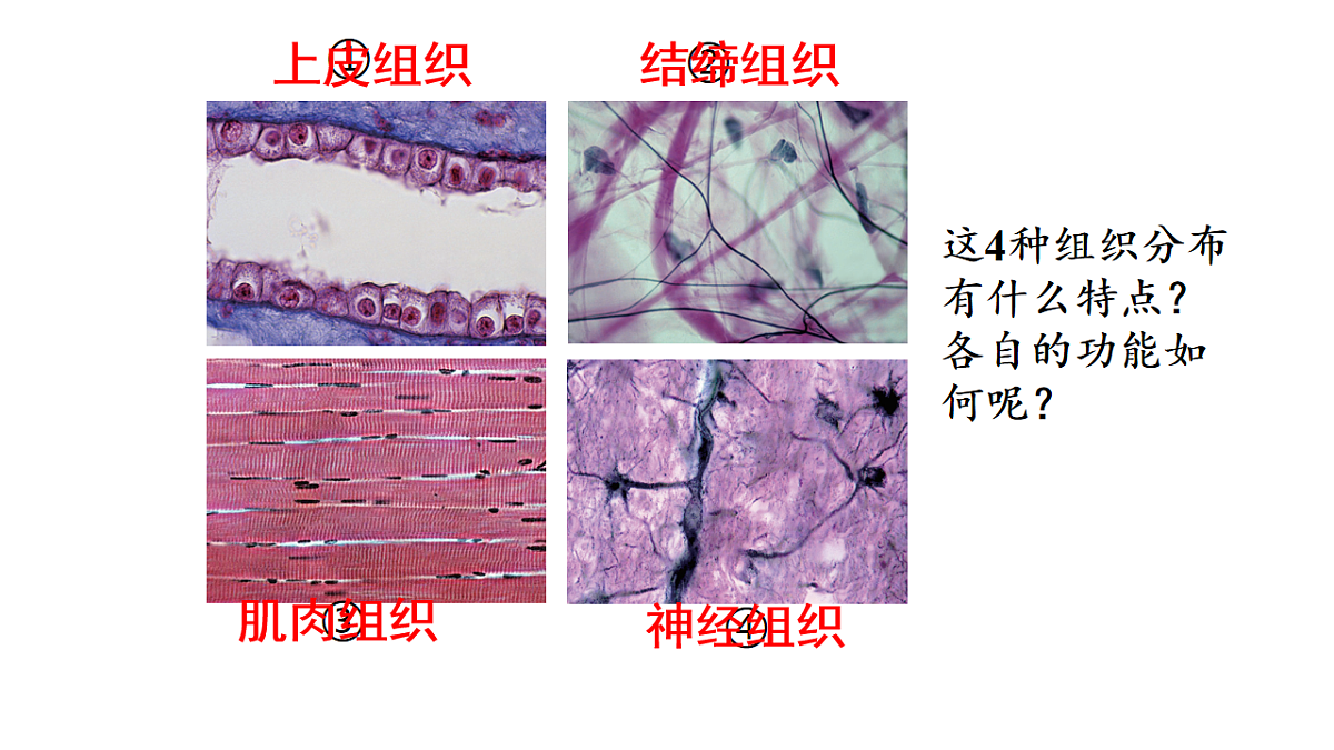 17760369第6页