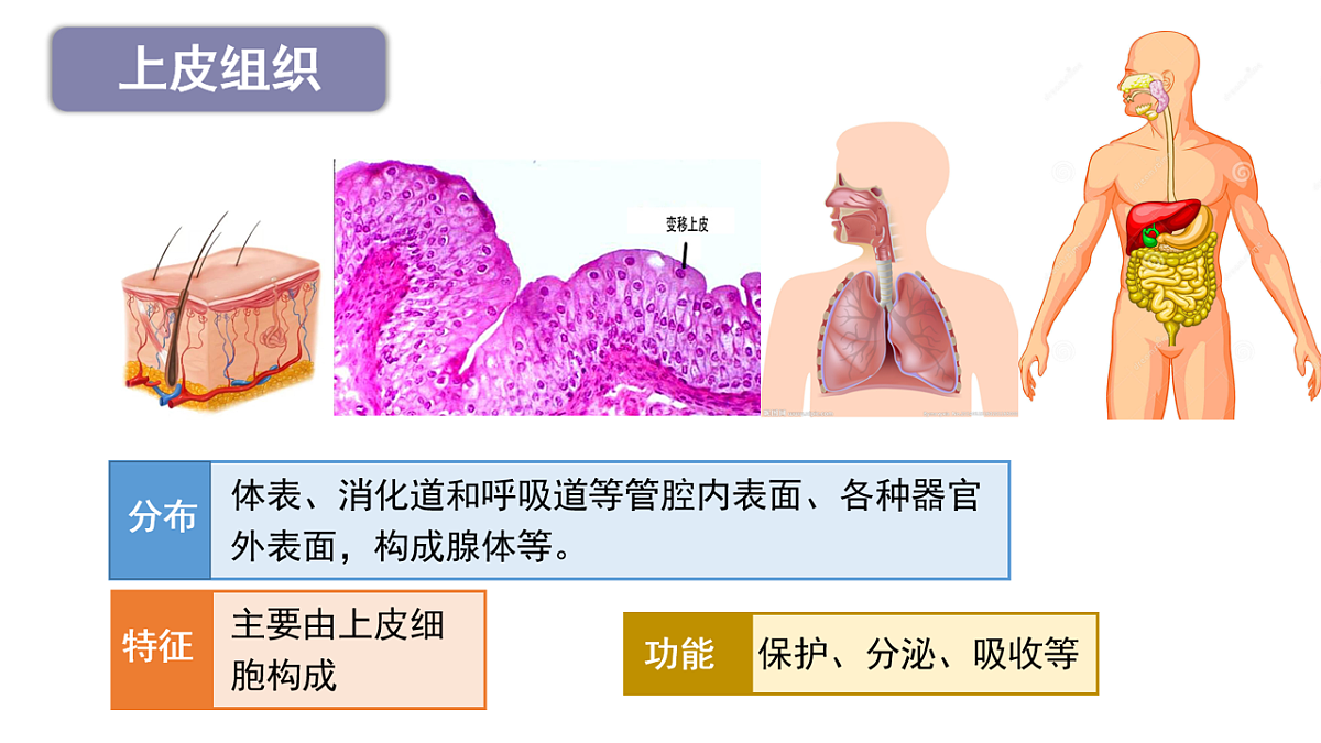 17760369第7页