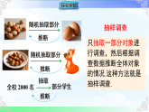 12.1.2抽样调查 课件-2025-2026学年人教版2024数学七年级下册教学课件