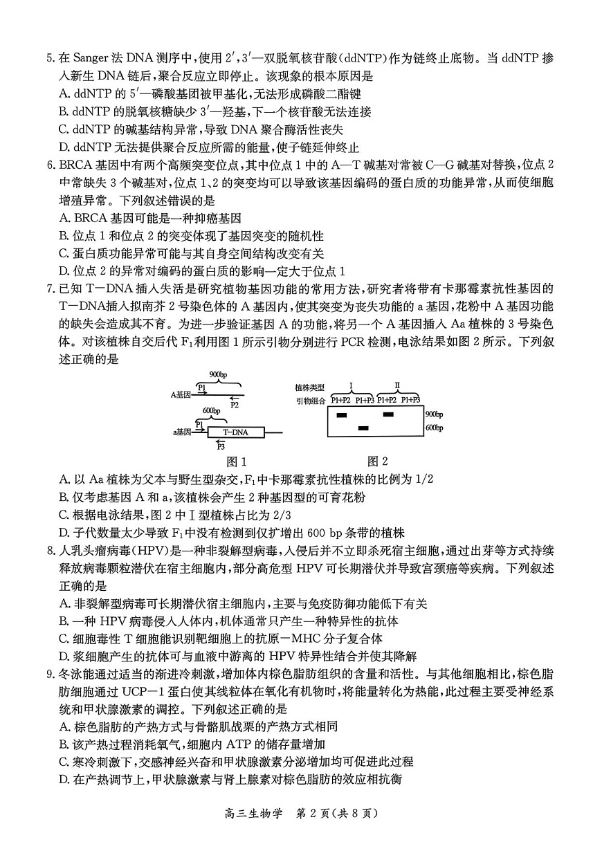 1_26届基地学校第一次大联考生物试卷第2页