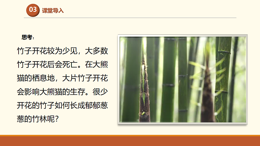 17761440第4页