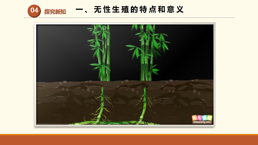 17761440第5页