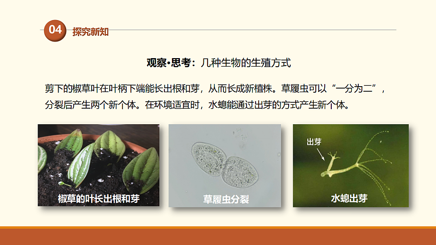 17761440第6页