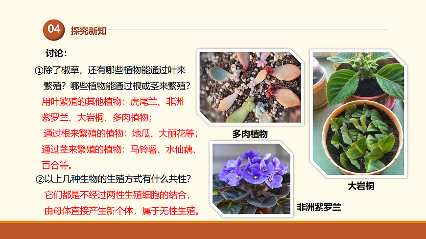 17761440第7页