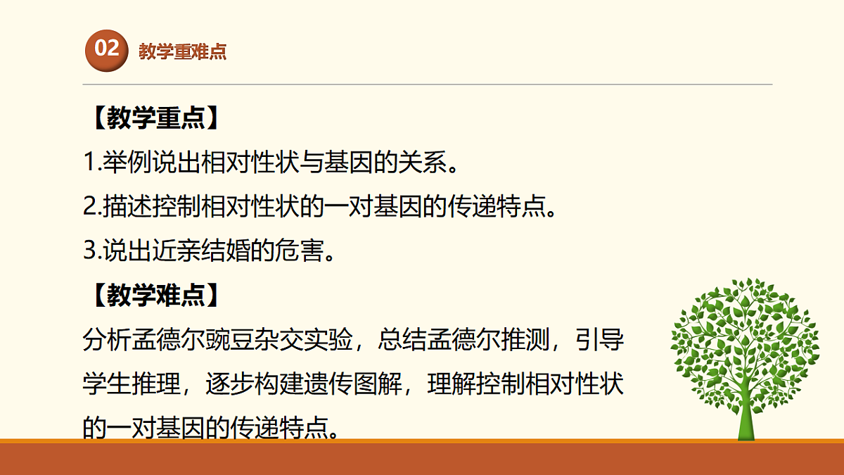 17761447第3页