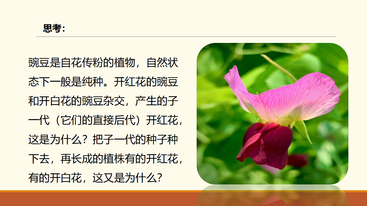 17761447第4页