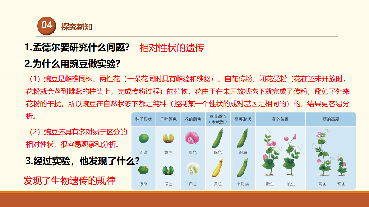 17761447第6页