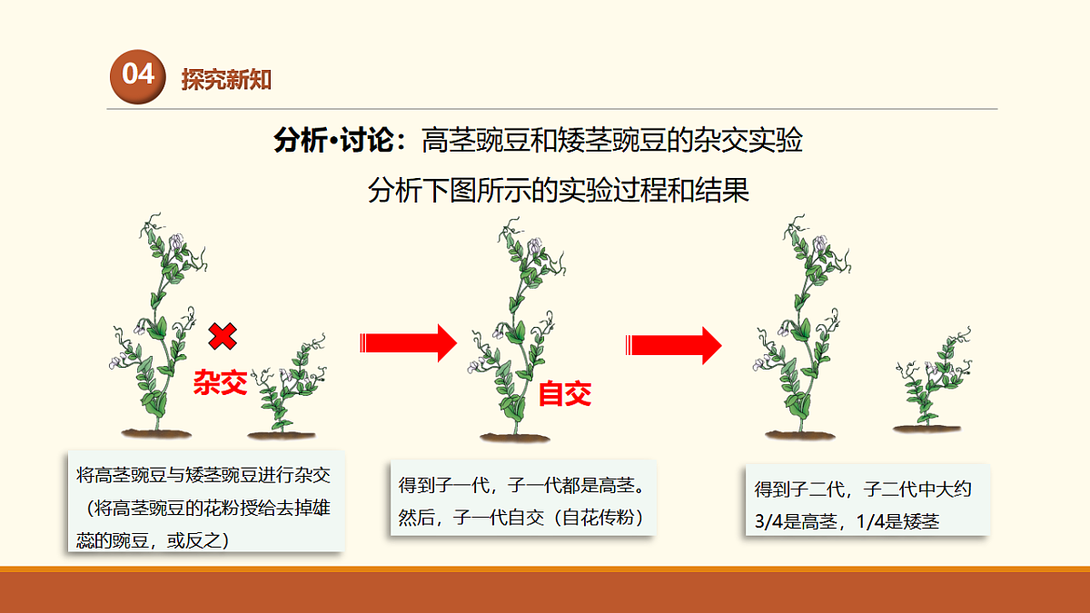 17761447第7页