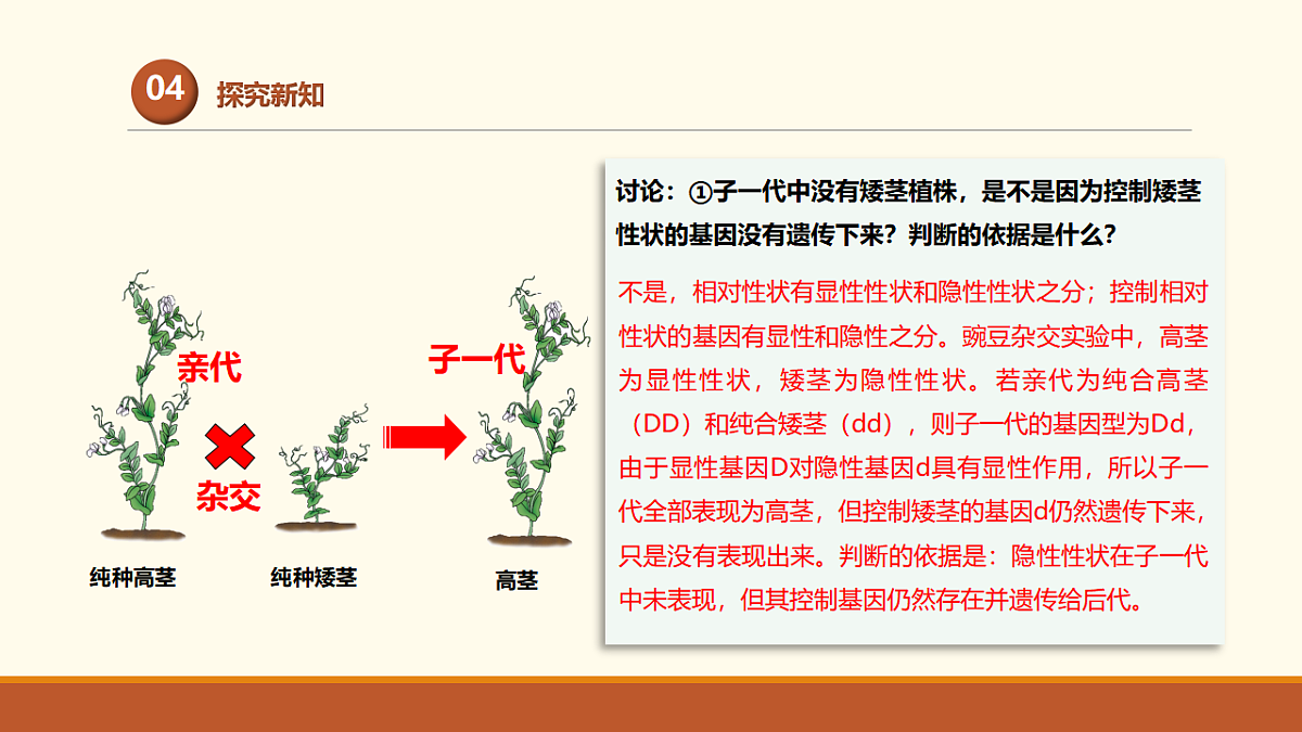 17761447第8页
