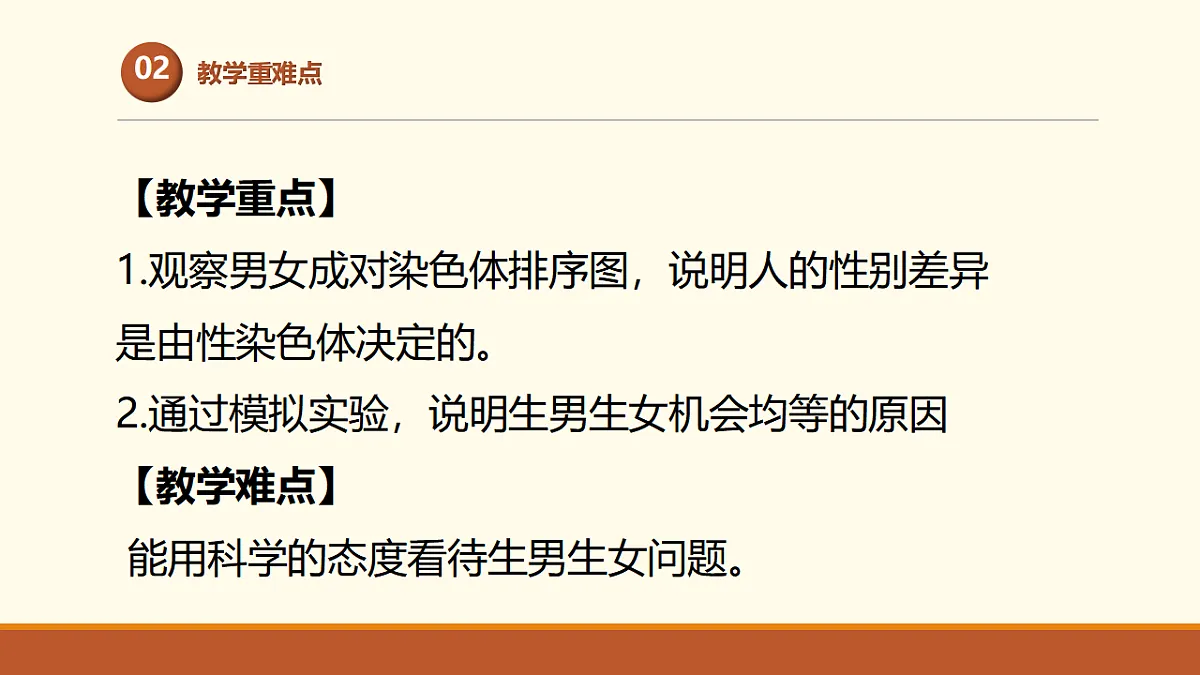 17761448第3页