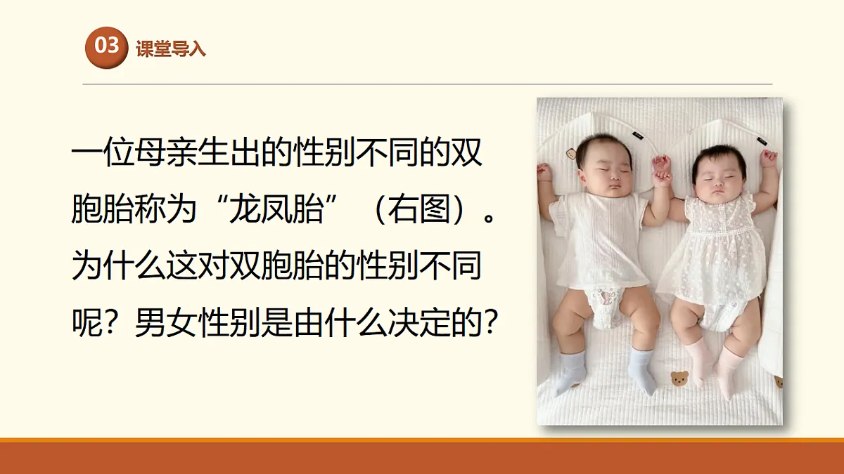 17761448第4页