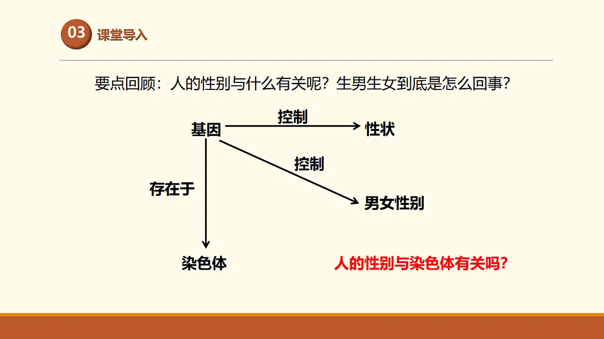 17761448第5页