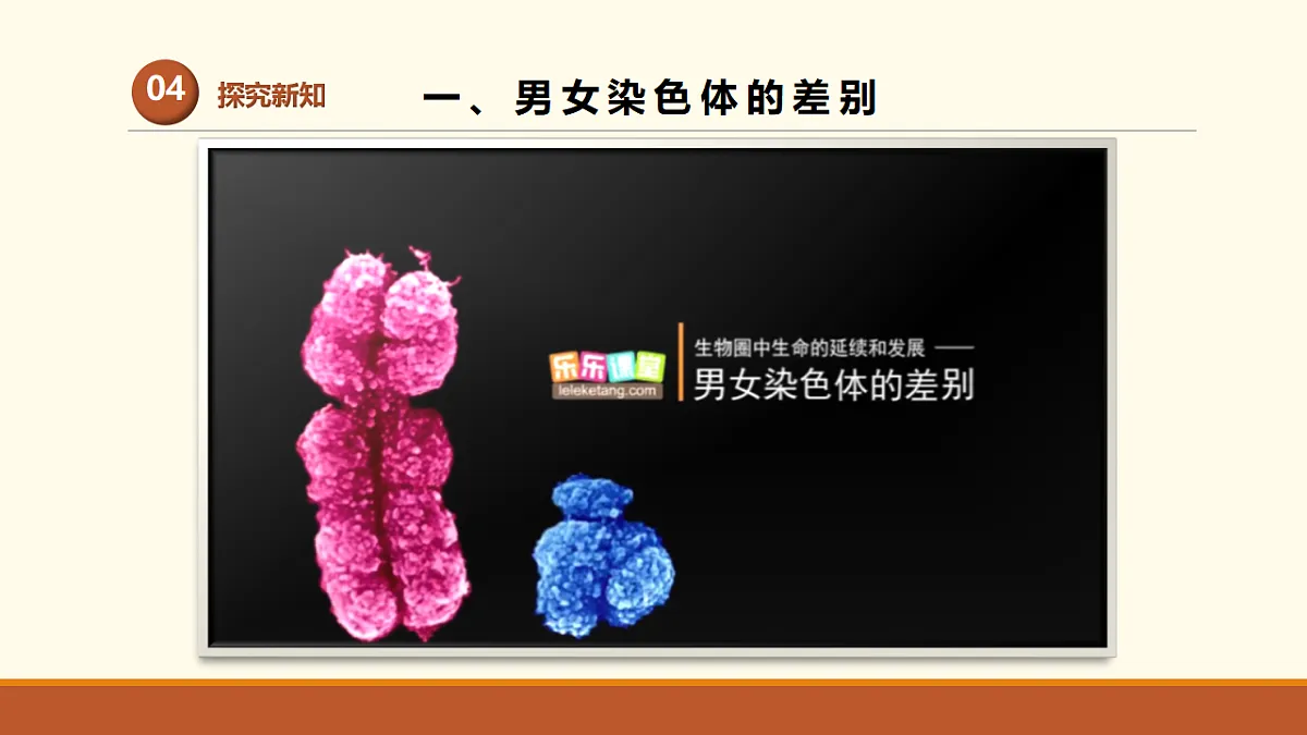 17761448第6页