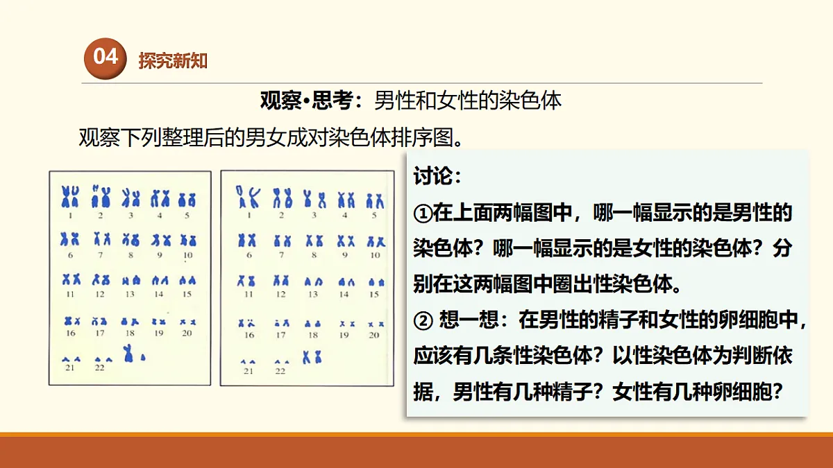 17761448第7页