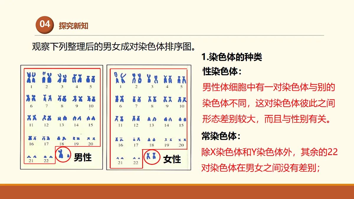 17761448第8页