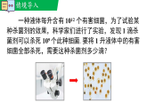 1.1.4同底数幂的除法（教学课件）--新2024北师大版七年级数学下册课件