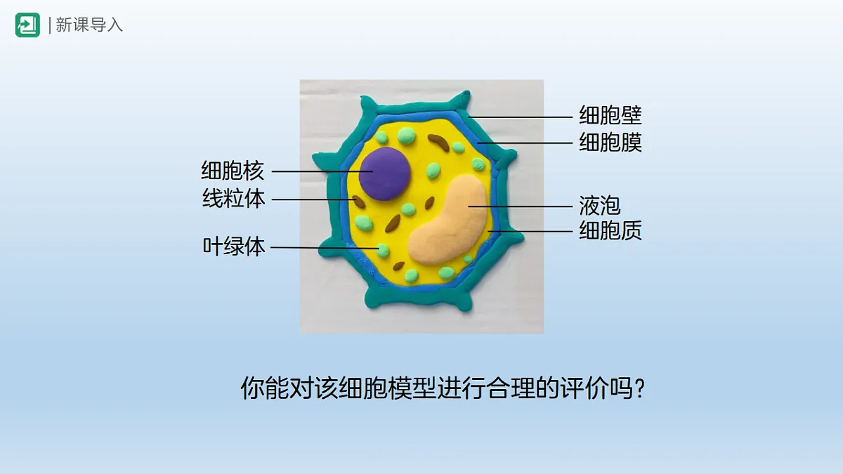 17761908第3页