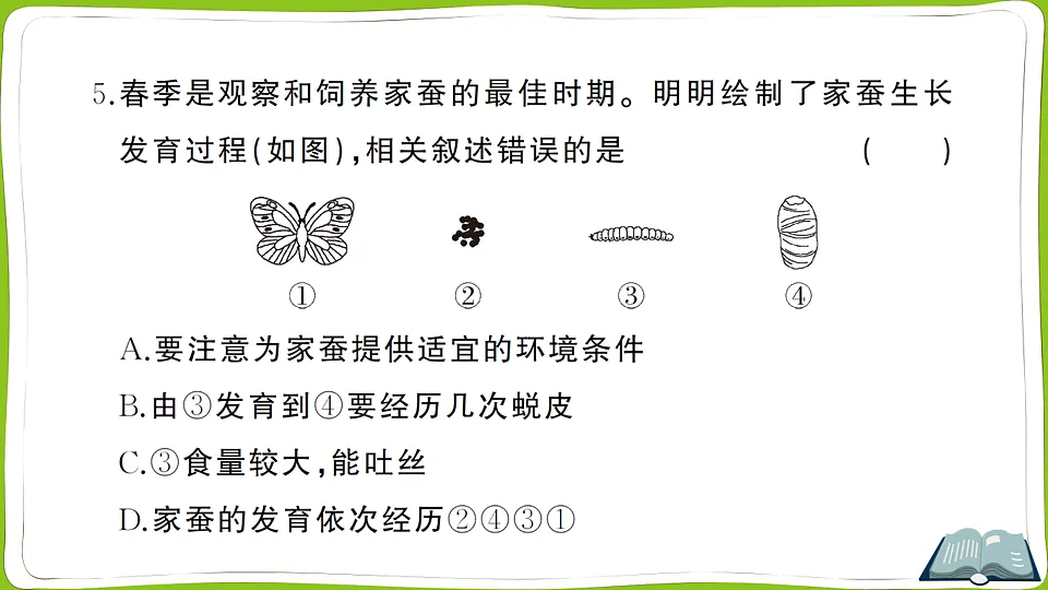 17761909第6页