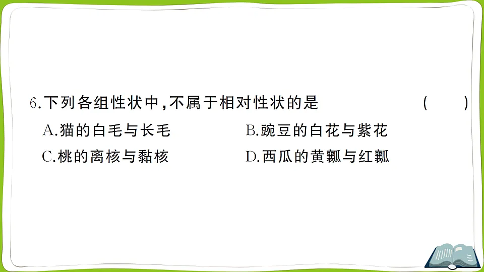 17761909第7页