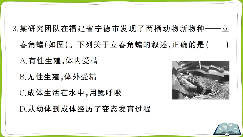 17761910第4页
