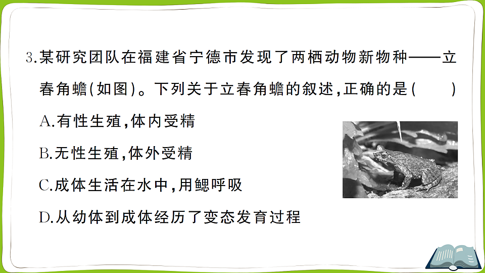 17761910第4页