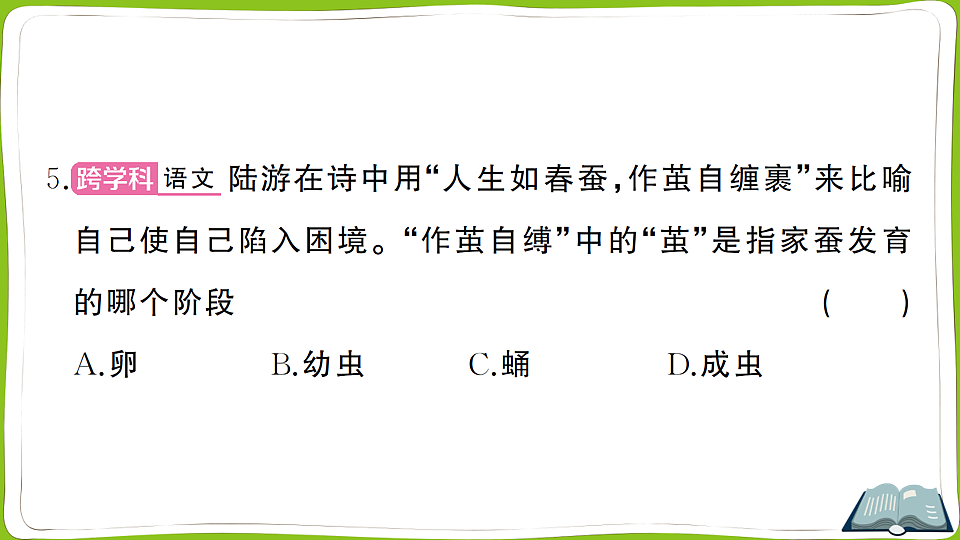 17761911第6页