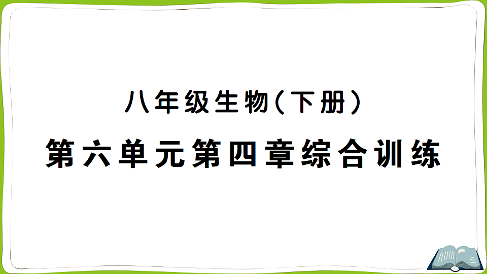 17762025第1页