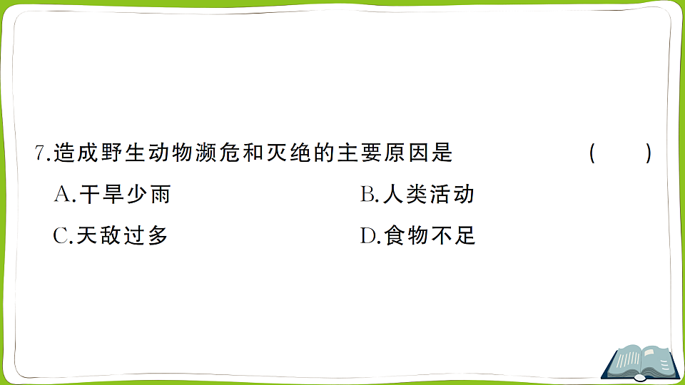 17762025第8页