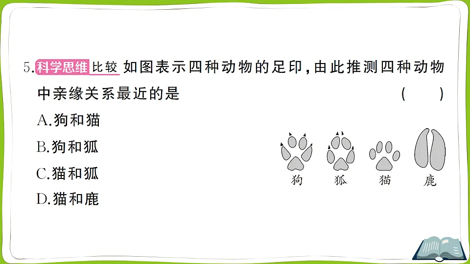 17762026第6页