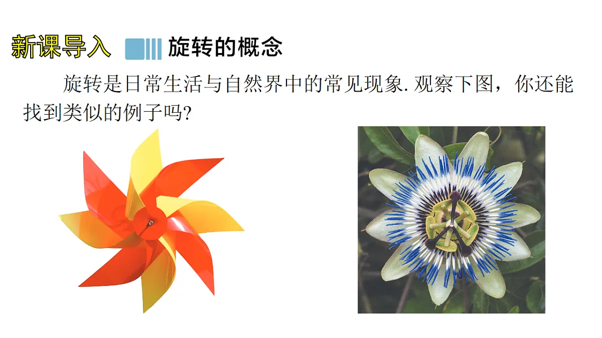 17762087第4页