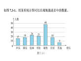 青岛版(2024)数学七年级下册 7.3 数据的描述 (课件）