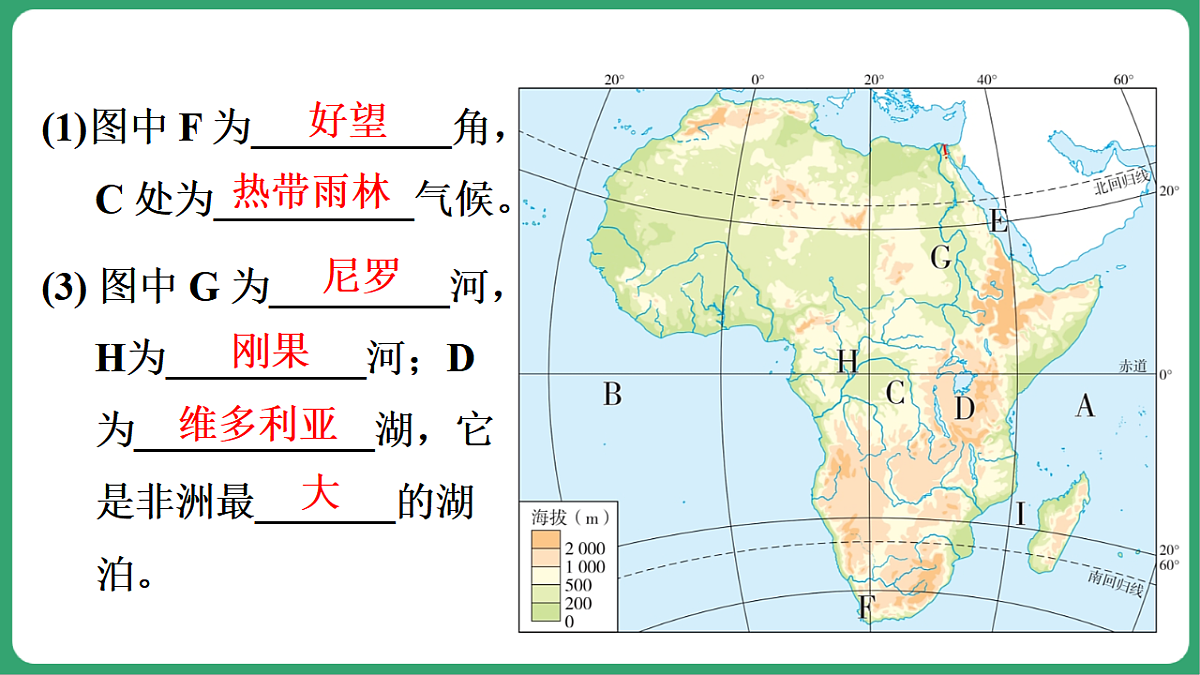 17762691第3页