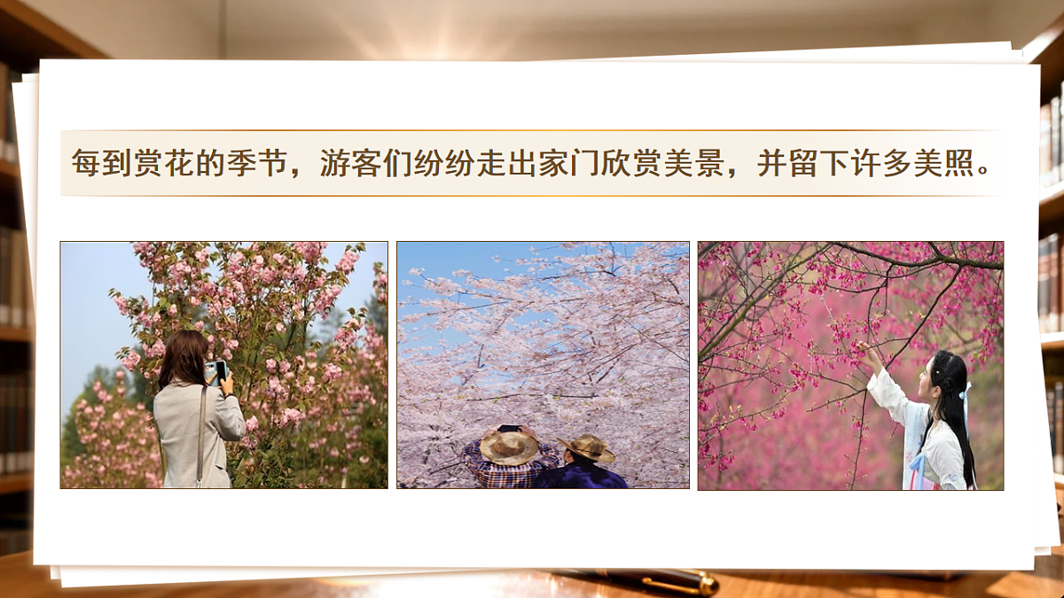 17763232第1页