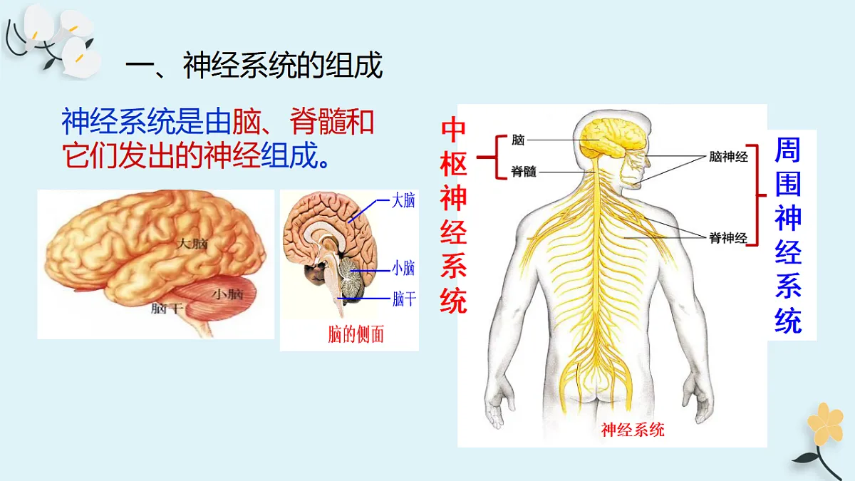 17763315第4页