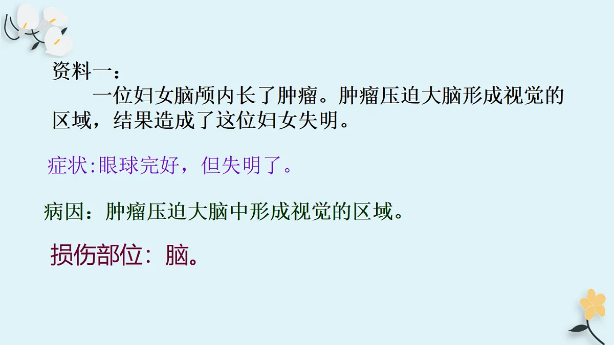 17763315第5页