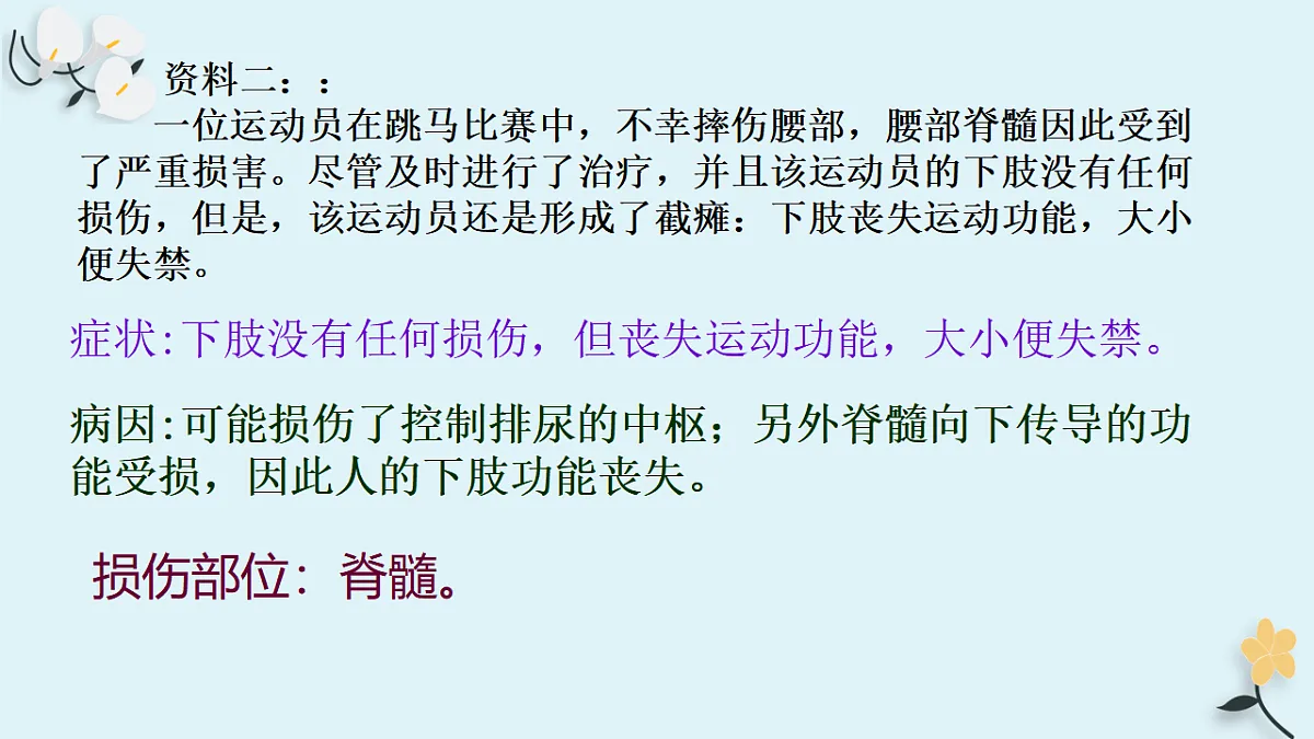 17763315第6页
