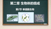 初中生物苏教版（2024）七年级上册（2024）单细胞生物教课内容ppt课件