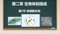 初中生物苏教版(2024)七年级上册(2024)单细胞生物教课内容ppt课件