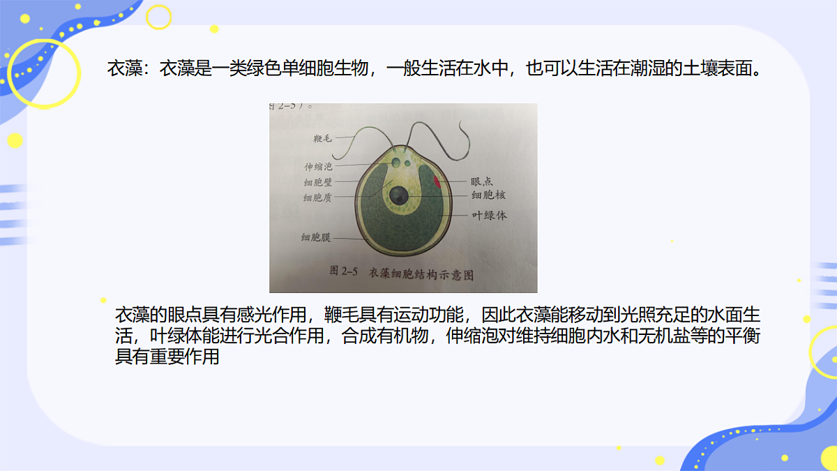 17763326第4页