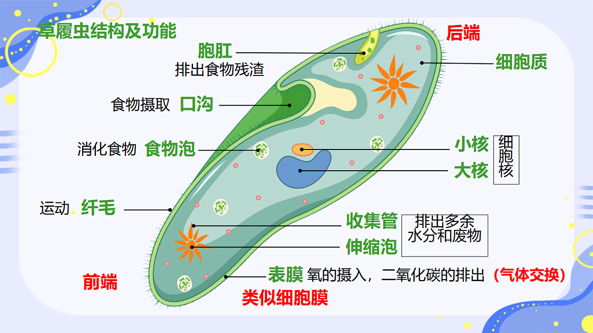 17763326第5页