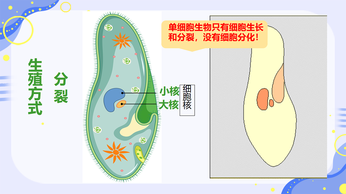 17763326第8页