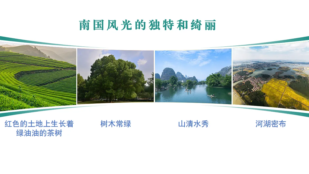 17763369第7页