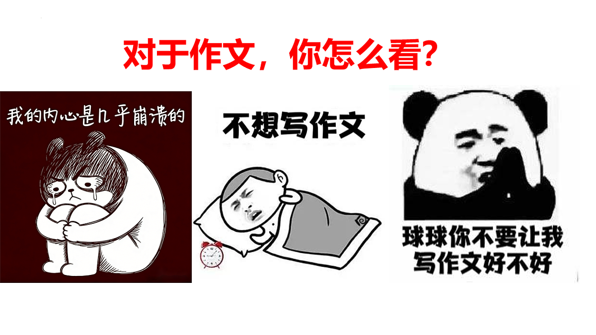 17763403第3页
